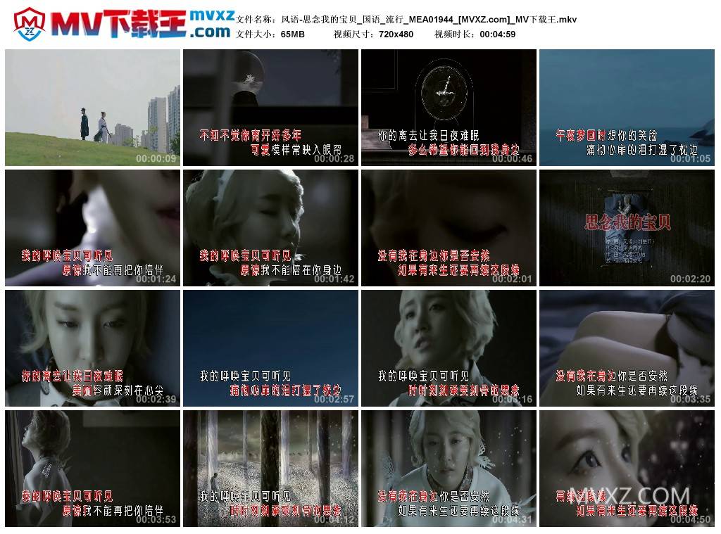 风语-思念我的宝贝_国语_流行_MEA01944